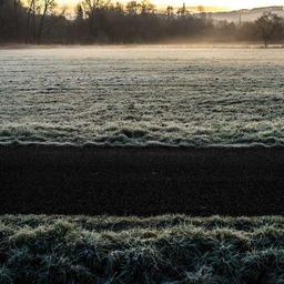 Oriental Fresh Hat thumbnail 5