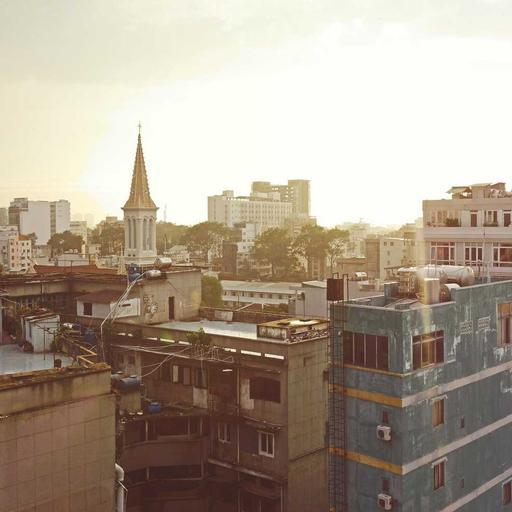 Refined Plastic Gloves