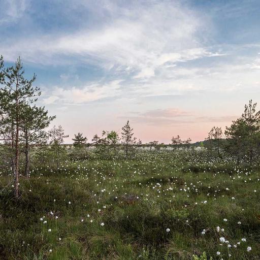 Licensed Concrete Sausages