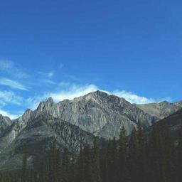 Unbranded Wooden Shirt thumbnail 2