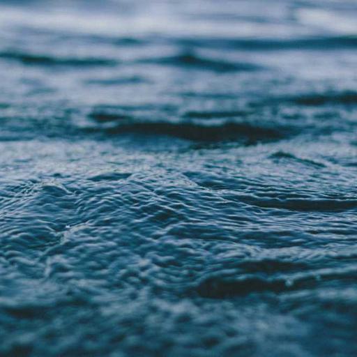 Electronic Steel Chips