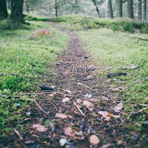 Intelligent Plastic Table