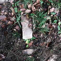 Recycled Soft Salad thumbnail 3