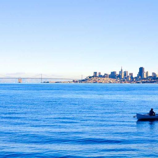 Elegant Bronze Sausages