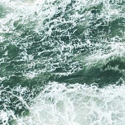 Small Fresh Salad thumbnail 3