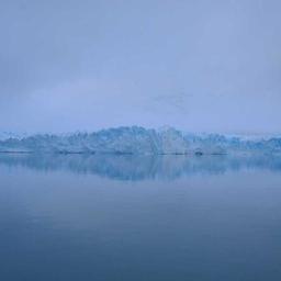 Elegant Bronze Chips thumbnail 2