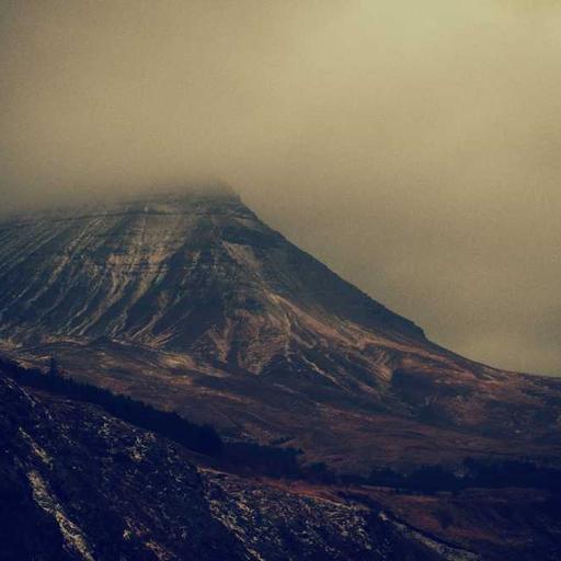 Ergonomic Cotton Gloves