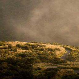 Unbranded Rubber Cheese thumbnail 5