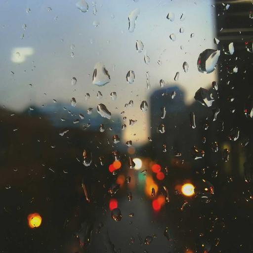 Incredible Frozen Fish