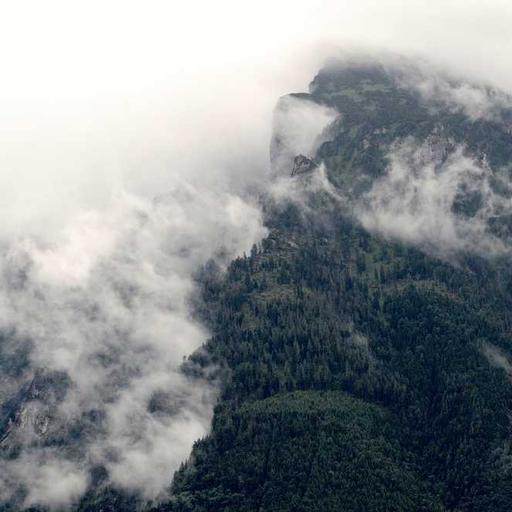 Fantastic Cotton Sausages