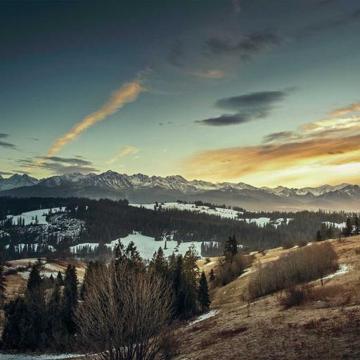 Fantastic Wooden Chair