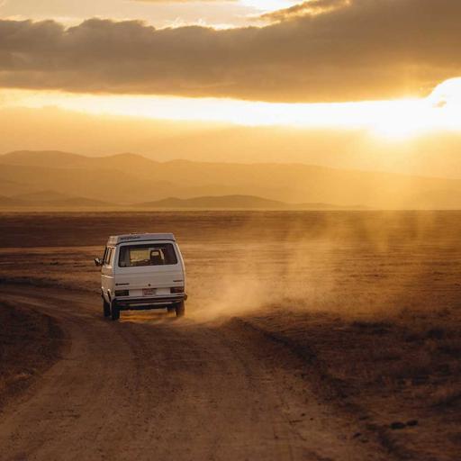 Elegant Concrete Shoes