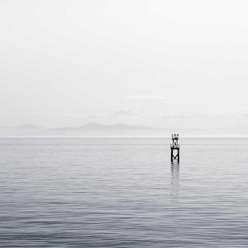 Bespoke Wooden Chips