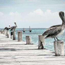 Awesome Soft Bike thumbnail 2