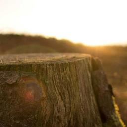 Ergonomic Cotton Chair thumbnail 5