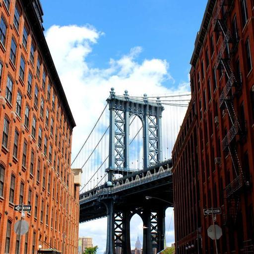 Gorgeous Frozen Gloves