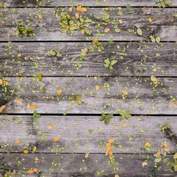 Awesome Cotton Gloves thumbnail 2