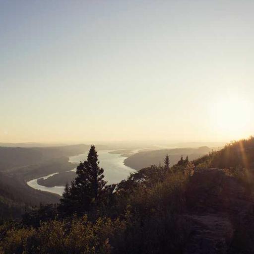 Unbranded Frozen Shirt