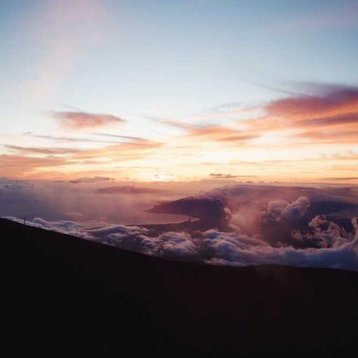 Generic Plastic Fish