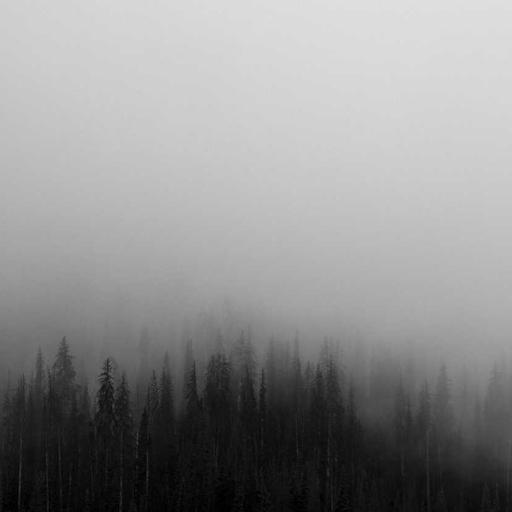 Unbranded Wooden Shoes