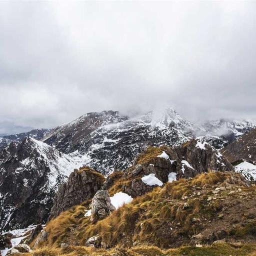 Handcrafted Frozen Chicken