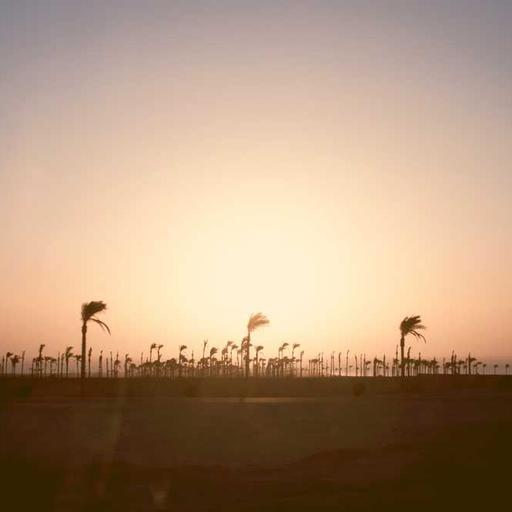 Unbranded Steel Sausages