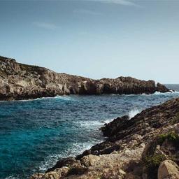 Handmade Frozen Fish thumbnail 4