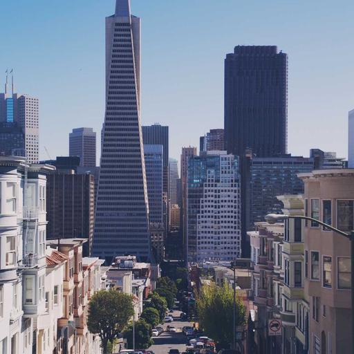 Fantastic Concrete Chicken