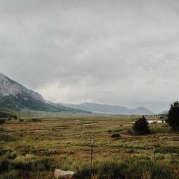 Licensed Soft Tuna thumbnail 4