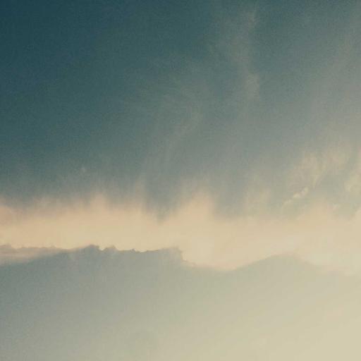 Licensed Bronze Tuna