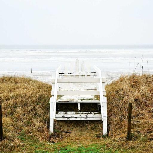 Refined Wooden Chips