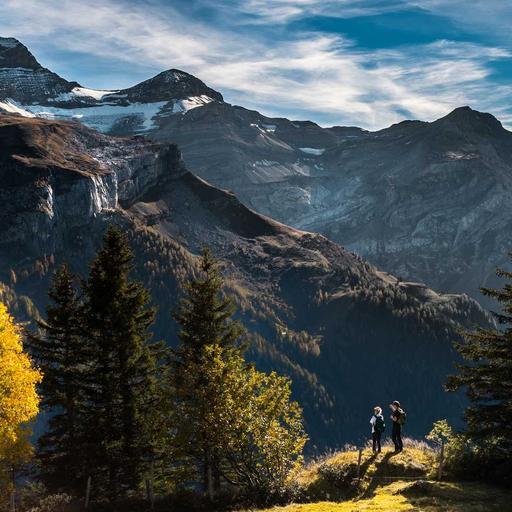 Elegant Concrete Pizza