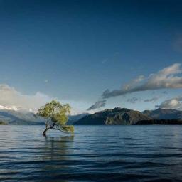 Handmade Wooden Car thumbnail 2