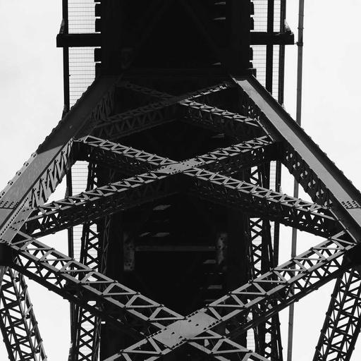 Gorgeous Fresh Chicken