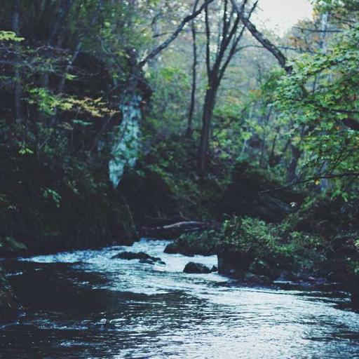 Licensed Rubber Towels