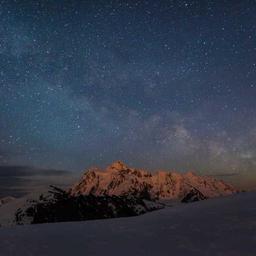 Refined Bronze Towels thumbnail 2