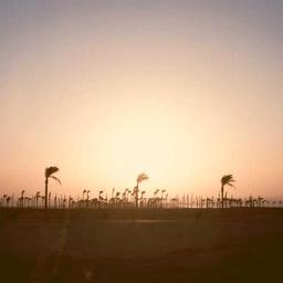 Handmade Soft Tuna thumbnail 5