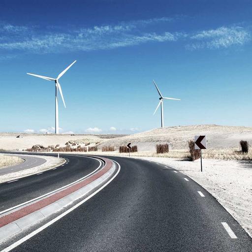 Electronic Cotton Chicken