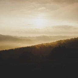 Sleek Rubber Chair thumbnail 5