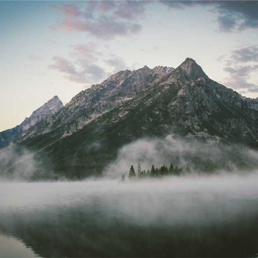 Recycled Wooden Pants