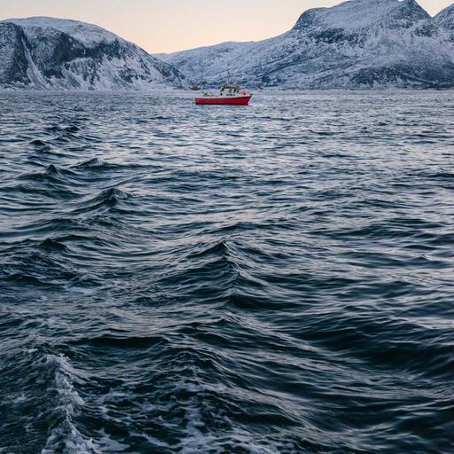 Refined Rubber Bacon