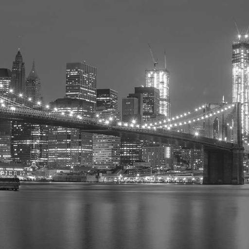 Unbranded Bronze Mouse