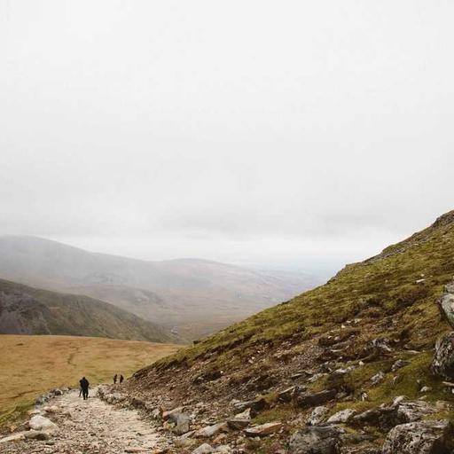 Awesome Metal Chicken