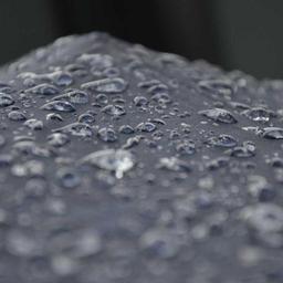 Practical Rubber Tuna thumbnail 5