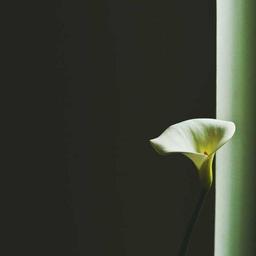 Handcrafted Granite Pants thumbnail 4