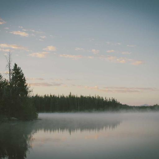 Handmade Fresh Sausages