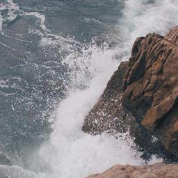 Unbranded Granite Fish thumbnail 4