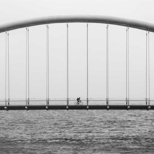 Generic Plastic Towels