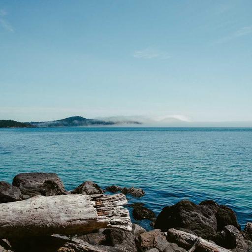 Tasty Cotton Sausages