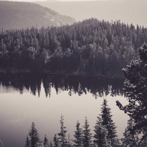 Tasty Wooden Sausages